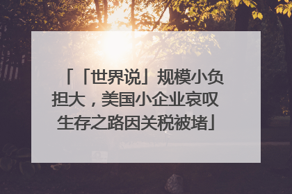 「世界说」规模小负担大，美国小企业哀叹生存之路因关税被堵