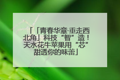 「青春华章·重走西北角」科技“智”造！天水花牛苹果用“芯”甜透你的味蕾