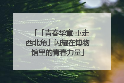 「青春华章·重走西北角」闪耀在博物馆里的青春力量