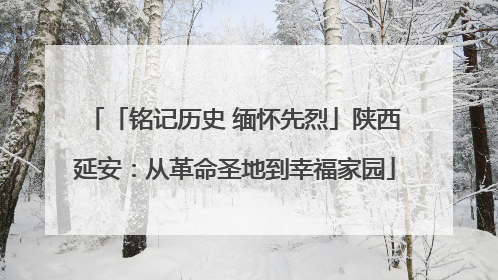 「铭记历史 缅怀先烈」陕西延安：从革命圣地到幸福家园