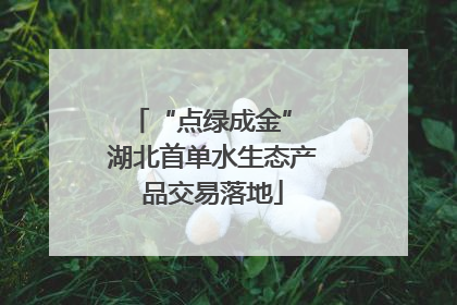 “点绿成金” 湖北首单水生态产品交易落地