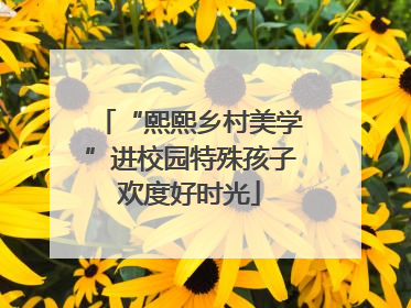 “熙熙乡村美学”进校园特殊孩子欢度好时光