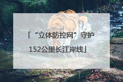 “立体防控网”守护152公里长江岸线