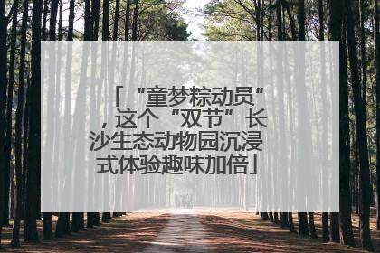 “童梦粽动员”，这个“双节”长沙生态动物园沉浸式体验趣味加倍