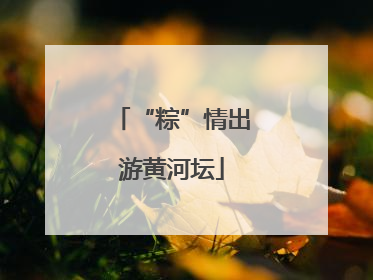 “粽”情出游黄河坛