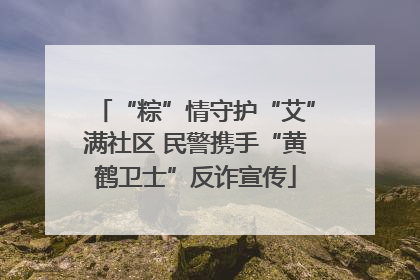 “粽”情守护“艾”满社区 民警携手“黄鹤卫士”反诈宣传