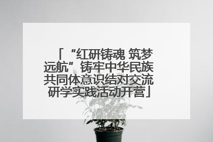 “红研铸魂 筑梦远航”铸牢中华民族共同体意识结对交流研学实践活动开营