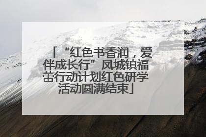 “红色书香润，爱伴成长行”凤城镇福蕾行动计划红色研学活动圆满结束