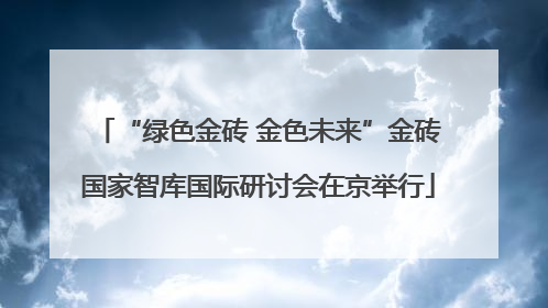 “绿色金砖 金色未来”金砖国家智库国际研讨会在京举行