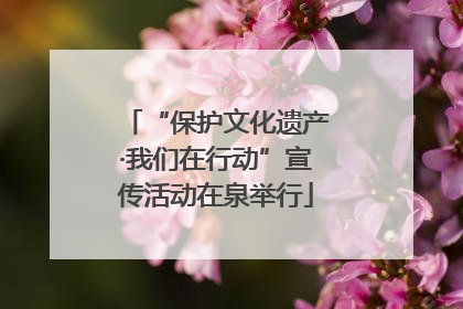 “保护文化遗产·我们在行动”宣传活动在泉举行