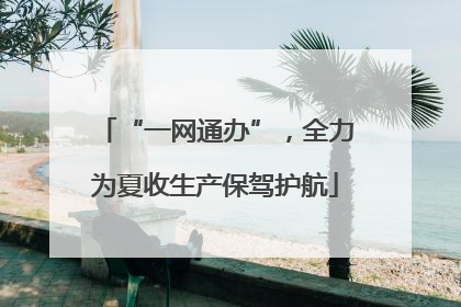 “一网通办”，全力为夏收生产保驾护航