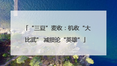 “三夏”麦收：机收“大比武” 减损论“英雄”