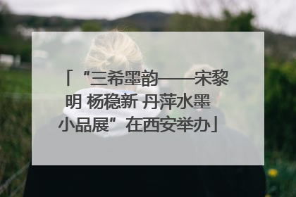 “三希墨韵——宋黎明 杨稳新 丹萍水墨小品展”在西安举办