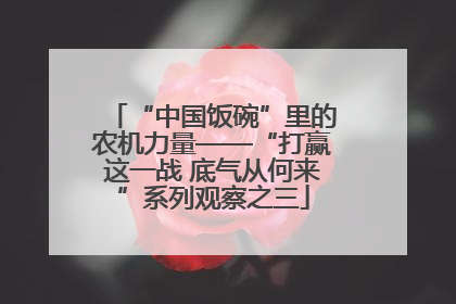 “中国饭碗”里的农机力量——“打赢这一战 底气从何来”系列观察之三