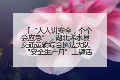 “人人讲安全，个个会应急”，湖北浠水县交通运输综合执法大队“安全生产月”主题活动取得成效