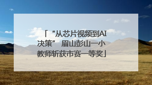 “从芯片视频到AI决策” 眉山彭山一小教师斩获市赛一等奖