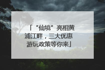 “仙境”亮相黄浦江畔，三大优惠游玩政策等你来