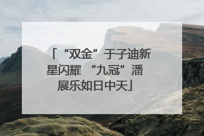 “双金”于子迪新星闪耀 “九冠”潘展乐如日中天