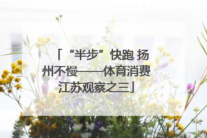 “半步”快跑 扬州不慢——体育消费江苏观察之三