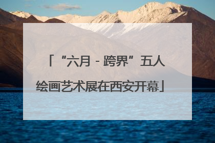 “六月 - 跨界”五人绘画艺术展在西安开幕