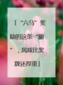 “六马”奖励的这条“腿”,风味比奖牌还厚重