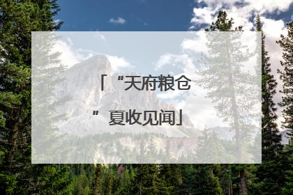 “天府粮仓”夏收见闻