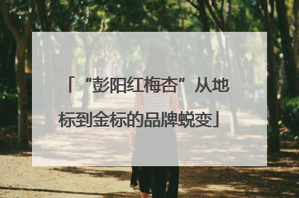 “彭阳红梅杏”从地标到金标的品牌蜕变