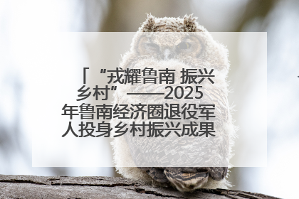 “戎耀鲁南 振兴乡村”——2025年鲁南经济圈退役军人投身乡村振兴成果展销会盛大启幕