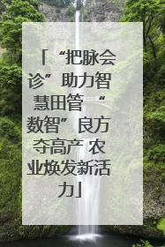 “把脉会诊”助力智慧田管 “数智”良方夺高产 农业焕发新活力