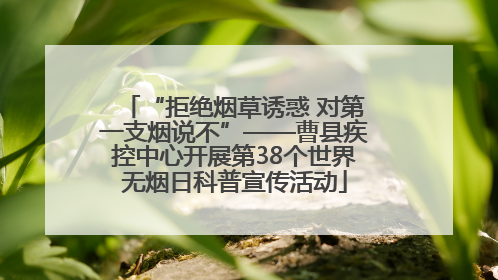 “拒绝烟草诱惑 对第一支烟说不”——曹县疾控中心开展第38个世界无烟日科普宣传活动