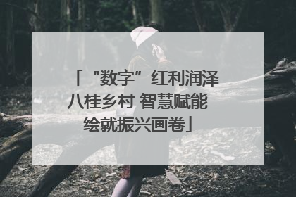 “数字”红利润泽八桂乡村 智慧赋能绘就振兴画卷