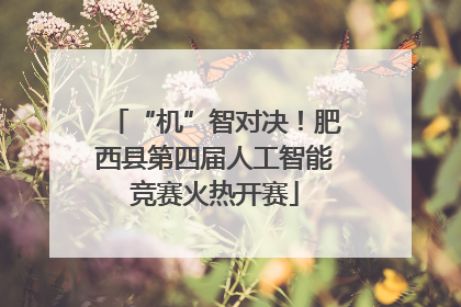 “机”智对决！肥西县第四届人工智能竞赛火热开赛