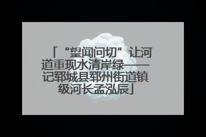 “望闻问切”让河道重现水清岸绿——记郓城县郓州街道镇级河长孟泓辰