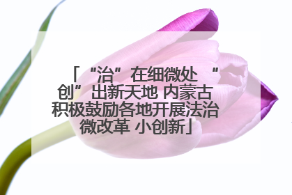 “治”在细微处 “创”出新天地 内蒙古积极鼓励各地开展法治微改革 小创新