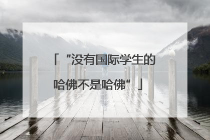 “没有国际学生的哈佛不是哈佛”