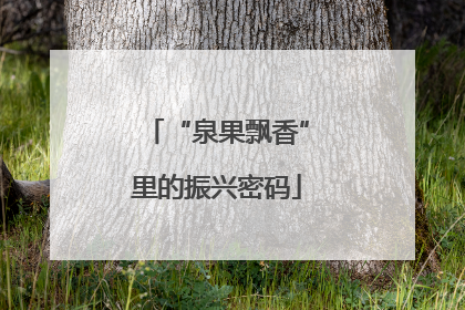 “泉果飘香”里的振兴密码