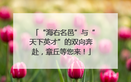 “海右名邑”与“天下英才”的双向奔赴，章丘等您来！