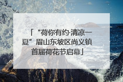 “荷你有约·清凉一夏”眉山东坡区尚义镇首届荷花节启幕