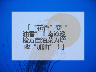 “花香”变“油香”！南漳巡检万亩油菜为增收“加油”！