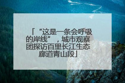 “这是一条会呼吸的岸线”，城市观察团探访百里长江生态廊道青山段