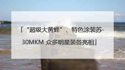“超级大黄蜂”、特色涂装苏-30MKM 众多明星装备亮相