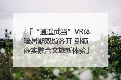 “逍遥武当”VR体验暑期双馆齐开 引领虚实融合文旅新体验
