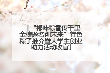 “郴味粽香传千里 金榜题名创未来”特色粽子推介暨大学生创业助力活动收官