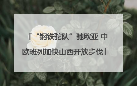 “钢铁驼队”驰欧亚 中欧班列加快山西开放步伐