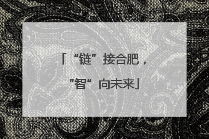 “链”接合肥，“智”向未来