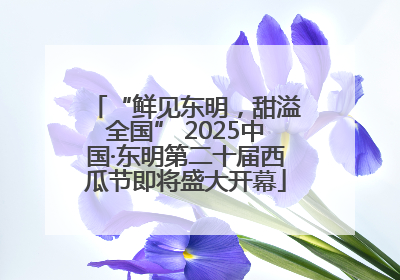 “鲜见东明，甜溢全国” 2025中国·东明第二十届西瓜节即将盛大开幕