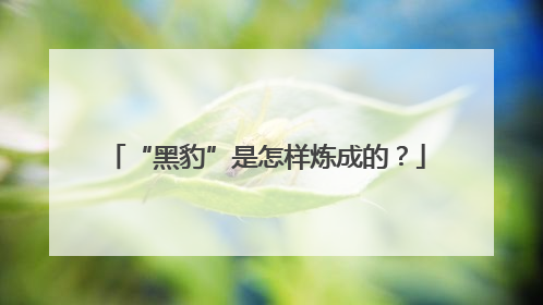 “黑豹”是怎样炼成的？