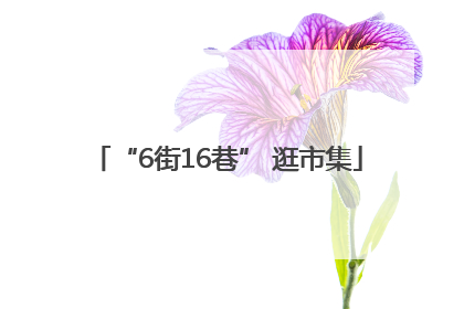 “6街16巷” 逛市集