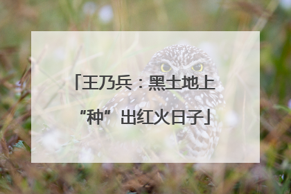 王乃兵：黑土地上“种”出红火日子