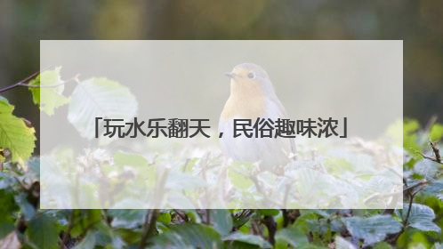 玩水乐翻天，民俗趣味浓